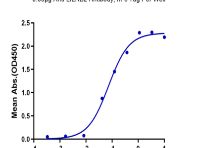 Biotinylated Human LILRB2/CD85d/ILT4 Protein (LIL-HM4B2B)