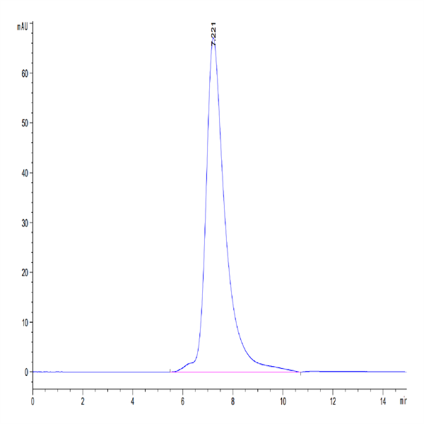 Human LILRB3/CD85a/ILT5 Protein (LIL-HM4B3)