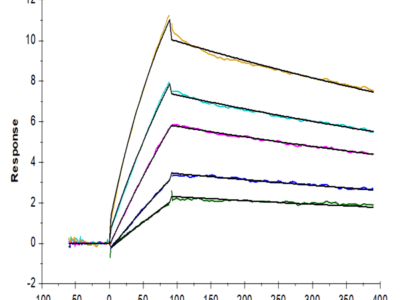 Human LILRB4/CD85k/ILT3 Protein (LIL-HM4B4)