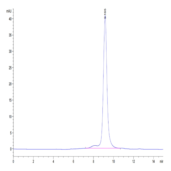 Human LILRB4/CD85k/ILT3 Protein (LIL-HM4B4)