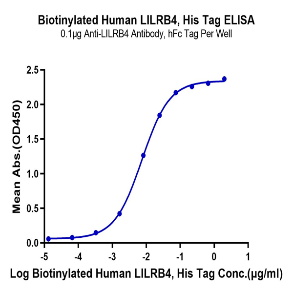 Biotinylated Human LILRB4/CD85k/ILT3 Protein (LIL-HM4B4B) Biotinylated Human LILRB4/CD85k/ILT3 Protein (LIL-HM4B4B)