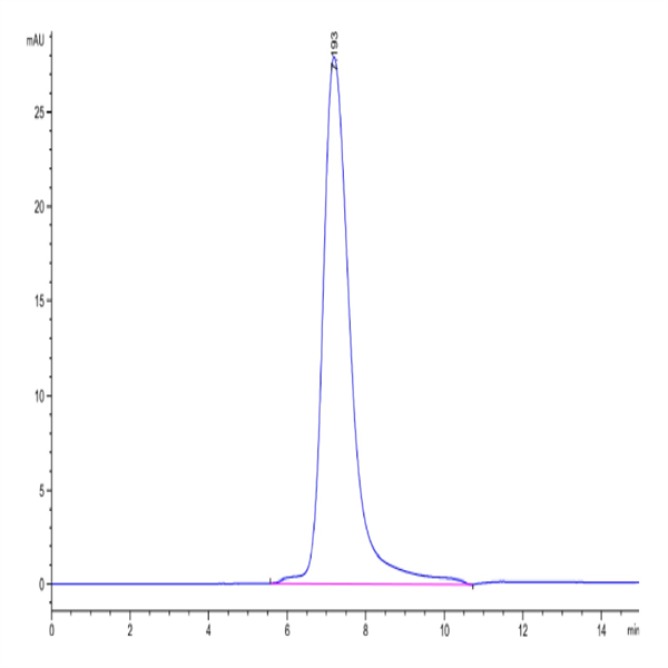 Human LILRB5/CD85c/LIR-8 Protein (LIL-HM4B5) Human LILRB5/CD85c/LIR-8 Protein (LIL-HM4B5)