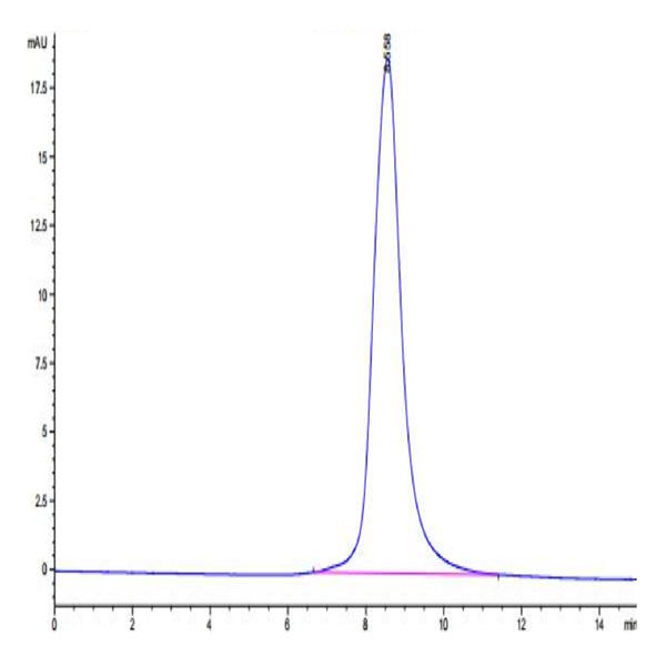 Biotinylated Human LILRB5/CD85c/LIR-8 Protein (LIL-HM4B5B) Biotinylated Human LILRB5/CD85c/LIR-8 Protein (LIL-HM4B5B)