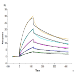 Mouse LILRB4/CD85k/ILT3 Protein (LIL-MM1B4)