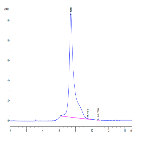 Mouse LRRN1 Protein (LNR-MM101) Mouse LRRN1 Protein (LNR-MM101)