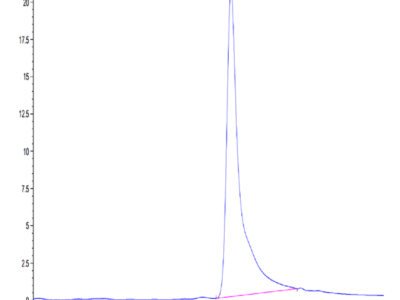 Human LOX1 Protein (LOX-HM101)