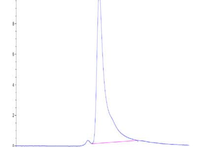 Mouse LOX1 Protein (LOX-MM101)