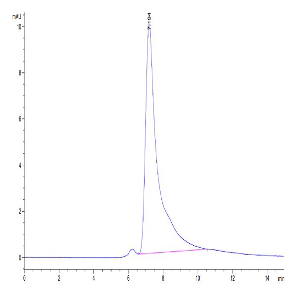 Mouse LOX1 Protein (LOX-MM101) Mouse LOX1 Protein (LOX-MM101)