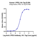 Human LYPD3 Protein (LPD-HM103)