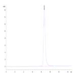 Cynomolgus LRG1 Protein (LRG-CM101)