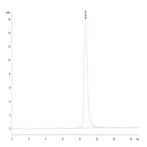 Cynomolgus LRG1 Protein (LRG-CM101)