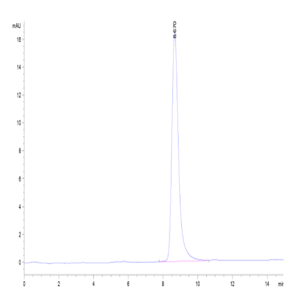Cynomolgus LRG1 Protein (LRG-CM101)