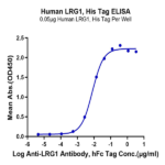 Human LRG1 Protein (LRG-HM101)