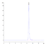 Human LRG1 Protein (LRG-HM101)