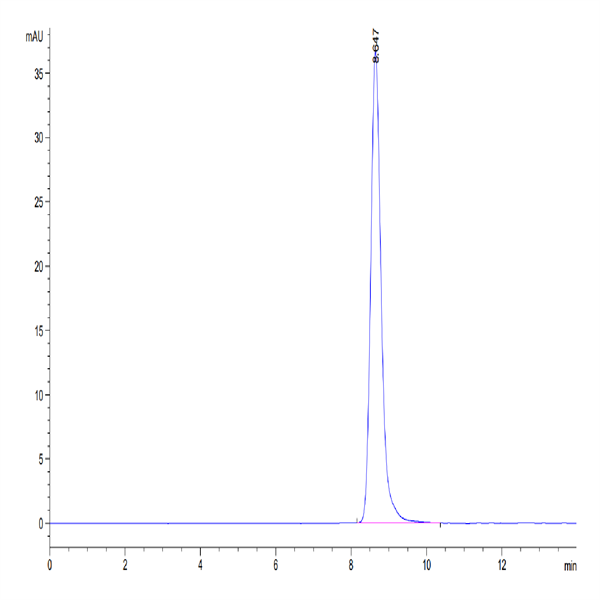 Human LRG1 Protein (LRG-HM101)