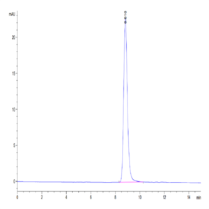 Mouse LRG1 Protein (LRG-MM101)