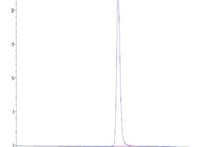 Mouse LRG1 Protein (LRG-MM101)