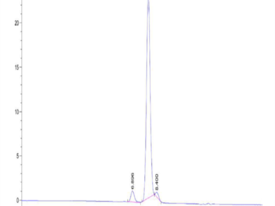 Mouse LRIG1 Protein (LRI-MM101)