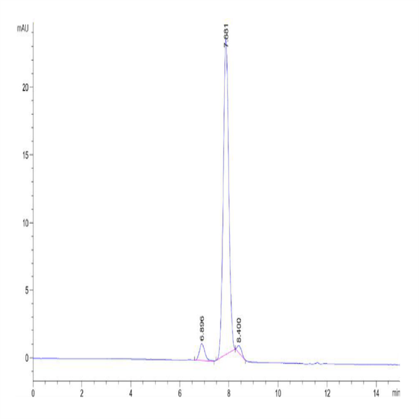 Mouse LRIG1 Protein (LRI-MM101)