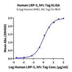 Human LRP-5 Protein (LRP-HM205)