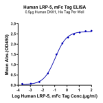 Human LRP-5 Protein (LRP-HM305)