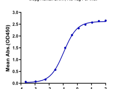 Human LRP-5 Protein (LRP-HM305)