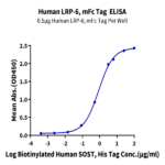 Human LRP-6 Protein (LRP-HM306)