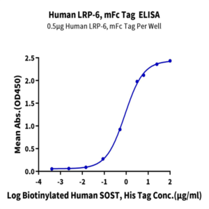 Human LRP-6 Protein (LRP-HM306)