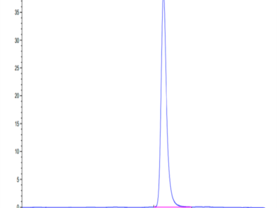 Mouse LRP10 Protein (LRP-MM110)