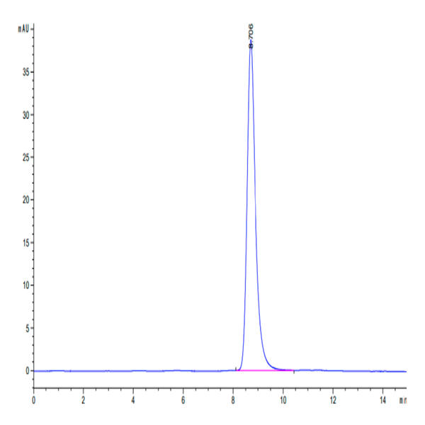 Mouse LRP10 Protein (LRP-MM110) Mouse LRP10 Protein (LRP-MM110)