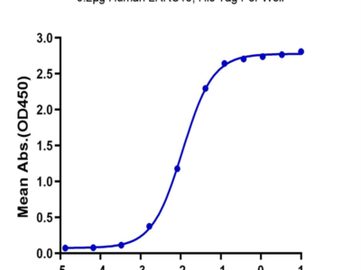 Human LRRC15/LIB Protein (LRR-HM415)