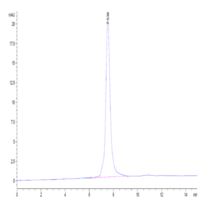 Human LRRC15/LIB Protein (LRR-HM415)