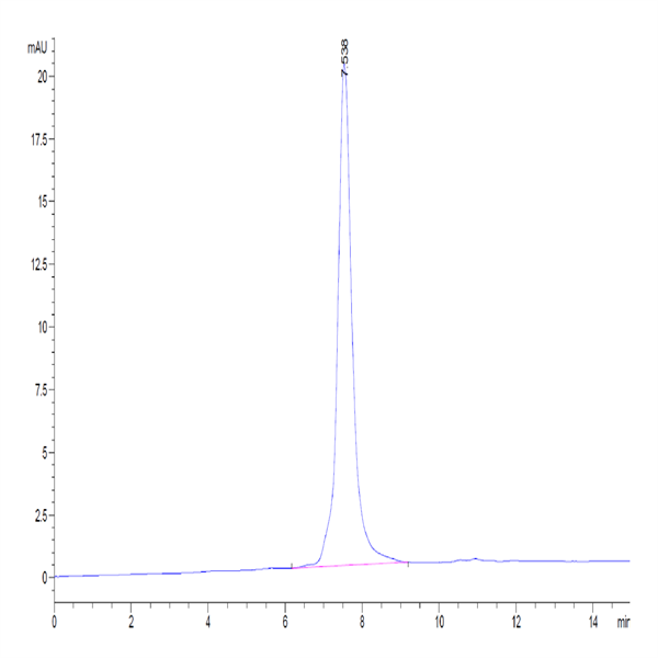 Human LRRC15/LIB Protein (LRR-HM415)