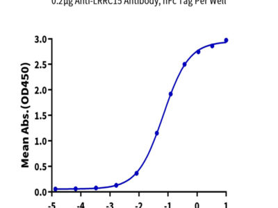 Biotinylated Human LRRC15/LIB Protein (LRR-HM415B)