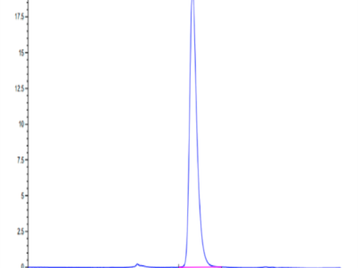 Mouse LRRC15/LIB Protein (LRR-MM115)