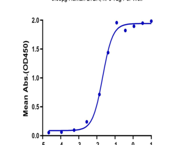 Human LTBR Protein (LTB-HM201)