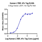 Human LTBR Protein (LTB-HM201)