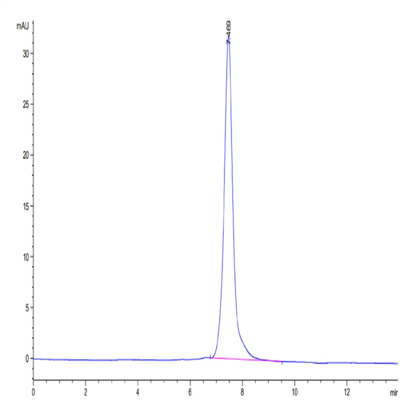 Mouse LTBR Protein (LTB-MM201) Mouse LTBR Protein (LTB-MM201)