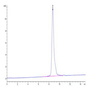 Human LTK Potein (LTK-HM101)