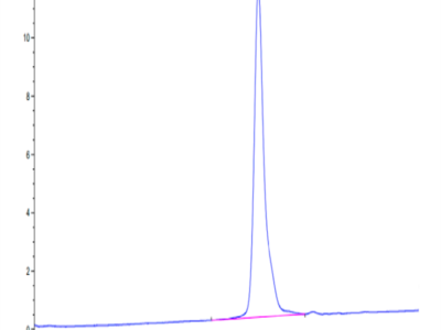 Human LTK Potein (LTK-HM101)