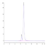 Cynomolgus LY75/CD205 Protein (LY7-CM105)