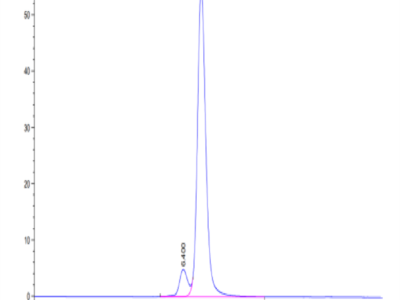 Cynomolgus LY75/CD205 Protein (LY7-CM105)