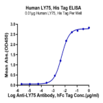Human LY75/CD205 Protein (LY7-HM105)