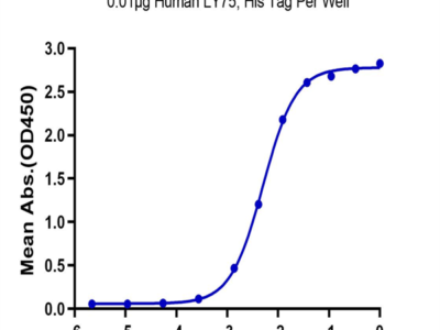 Human LY75/CD205 Protein (LY7-HM105)