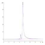 Human LY75/CD205 Protein (LY7-HM105)