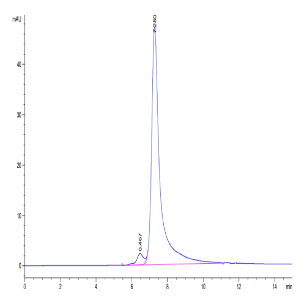 Human LY75/CD205 Protein (LY7-HM105)