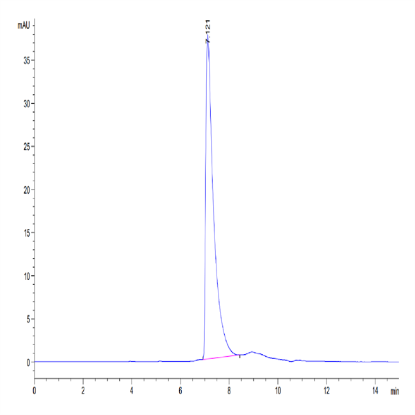 Human CD229/SLAMF3 Protein (LY9-HM401) Human CD229/SLAMF3 Protein (LY9-HM401)