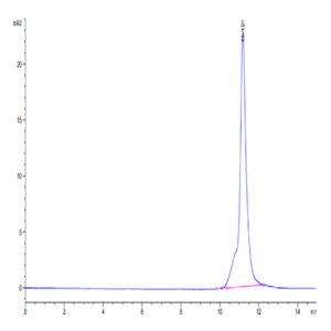 Mouse LY6A Protein (LYA-ME006)