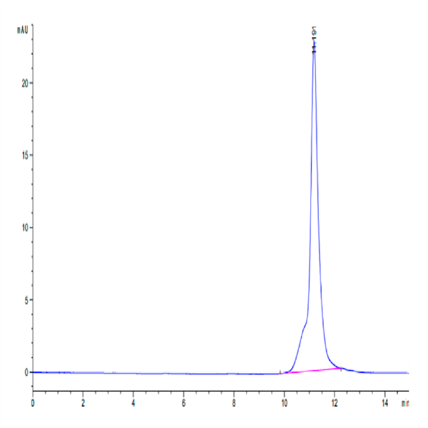 Mouse LY6A Protein (LYA-ME006) Mouse LY6A Protein (LYA-ME006)