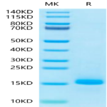 Human LY6G6D Protein (LYD-HM16D)